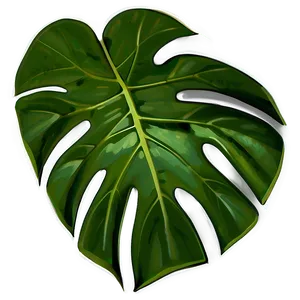 Monstera Leaf Closeup PNG Nqq