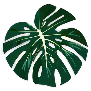 Monstera Leaf Flat Design Png 05232024 PNG image