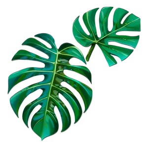 Monstera Leaf Mosaic PNG 05232024 PNG