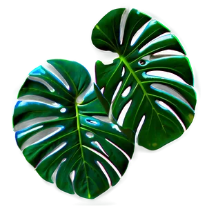 Monstera Leaf Pattern Png 06212024 PNG image