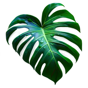 Monstera Leaf Pattern Png 16 PNG image