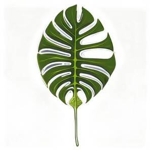 Monstera Leaf Sketch PNG 70