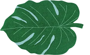 Monstera Leaf Texture PNG image