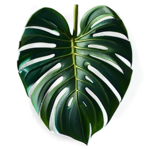 Monstera Leaf Transparent Background PNG 52