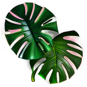 Monstera Leaf With Shadow PNG Mgw