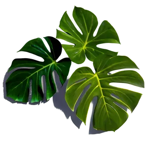 Monstera Leaf With Shadow Png Rli70 PNG image