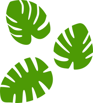 Monstera Leaves Pattern PNG image