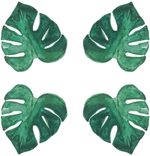 Monstera Leaves Pattern Watercolor PNG image