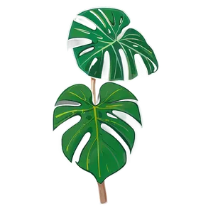 Monstera Outline Graphic Png 05232024 PNG image