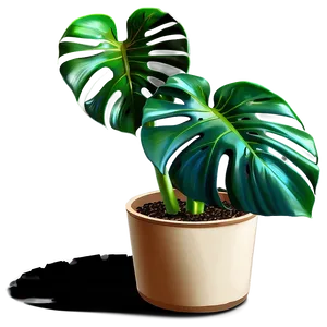 Monstera Plant Garden PNG 06212024