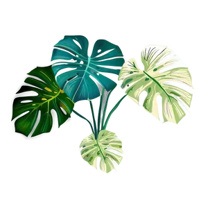 Monstera Plant Garden PNG Pts24 PNG
