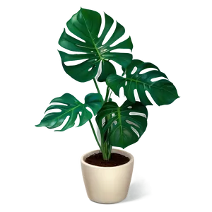 Monstera Plant In Corner PNG 06212024 PNG