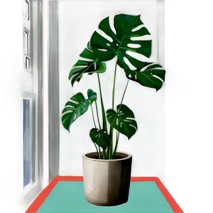 Monstera Plant In Corner PNG 06212024 PNG