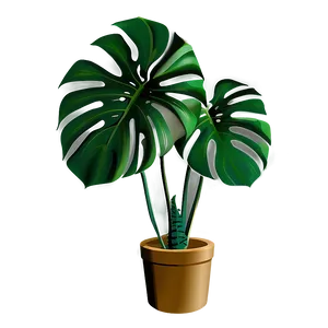 Monstera Plant In Corner PNG Bsh71 PNG