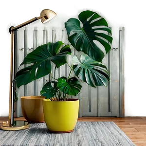 Monstera Plant In Living Room PNG Ovo91 PNG