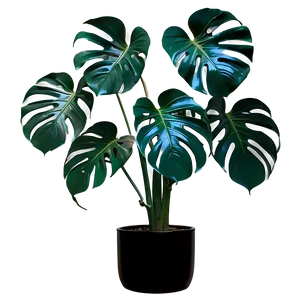 Monstera Plant In Minimalist Home PNG Ivg PNG