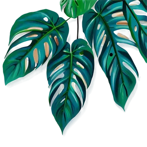 Monstera Plant In Wild PNG Uah70