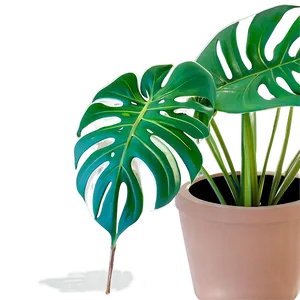 Monstera Plant Pot Png 34 PNG image