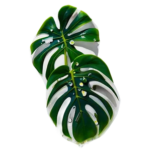 Monstera Plant With Droplets PNG Ubr PNG