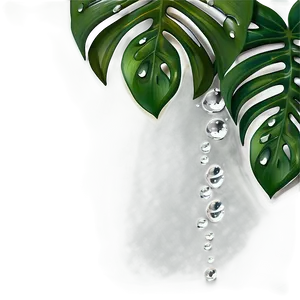 Monstera Plant With Droplets PNG Vde PNG