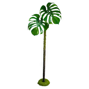 Monstera Plant With Moss Pole PNG 06212024 PNG