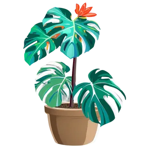 Monstera Plant With Roots PNG Uga30 PNG