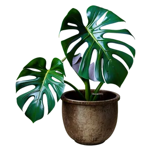 Monstera Plant With Textured Background PNG Vay PNG
