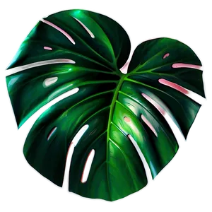 Monstera Tropical Leaf Png 81 PNG image