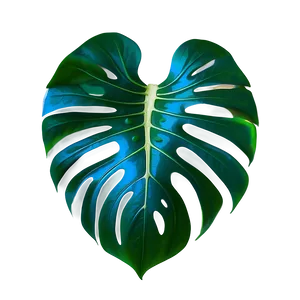 Monstera Tropical Leaf Png Xeh PNG image