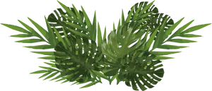 Monsteraand Palm Leaves Illustration PNG image