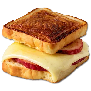 Monte Cristo Sandwich PNG 98