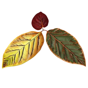 Moody Autumn Leaves PNG 76 PNG