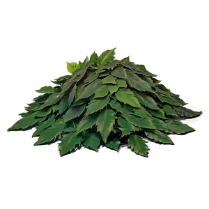 Moody Leaf Pile PNG 06202024