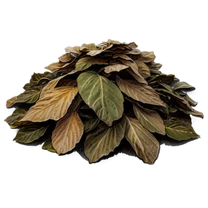 Moody Leaf Pile PNG 40
