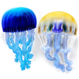 Moon Jelly Aquatic Elegance PNG Pip81 PNG