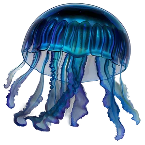 Moon Jelly Captivating Image PNG 4
