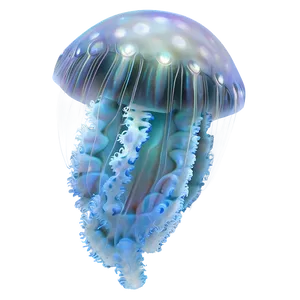 Moon Jelly Ethereal Sea Creature PNG Sqi57 PNG