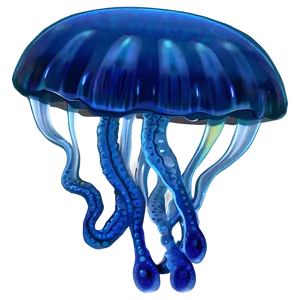 Moon Jelly In Deep Blue PNG 13 PNG