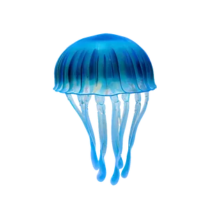 Moon Jelly In Mystical Waters PNG 06292024