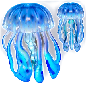 Moon Jelly In Mystical Waters PNG 37