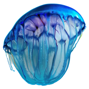 Moon Jelly In Vibrant Ecosystem PNG Xvi