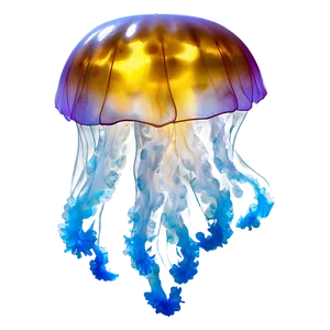 Moon Jelly Mystical Presence PNG Mth PNG