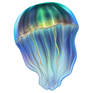 Moon Jelly Mystical Presence PNG Wer