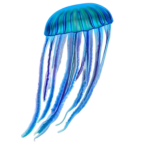 Moon Jelly Natural Habitat PNG Tta PNG