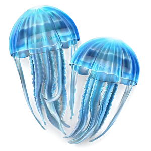 Moon Jelly Oceanic Creature PNG 21 PNG