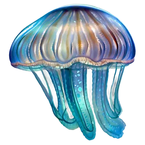 Moon Jelly Oceanic Creature PNG Ytp14 PNG