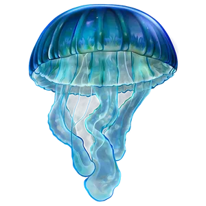 Moon Jelly Transparent Jellyfish PNG 06292024 PNG