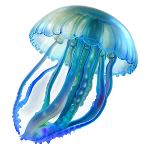 Moon Jelly Transparent Jellyfish PNG 06292024 PNG