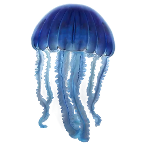 Moon Jelly Under Moonlight PNG 06292024 PNG