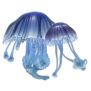Moon Jelly Under Moonlight PNG 06292024